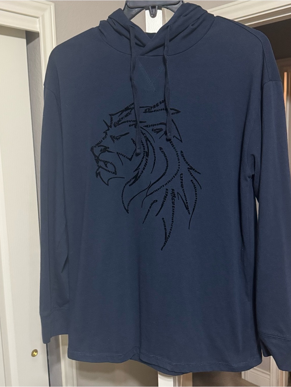 Express Navy Hooded Long-Sleeve Shirt with Lion Graphic